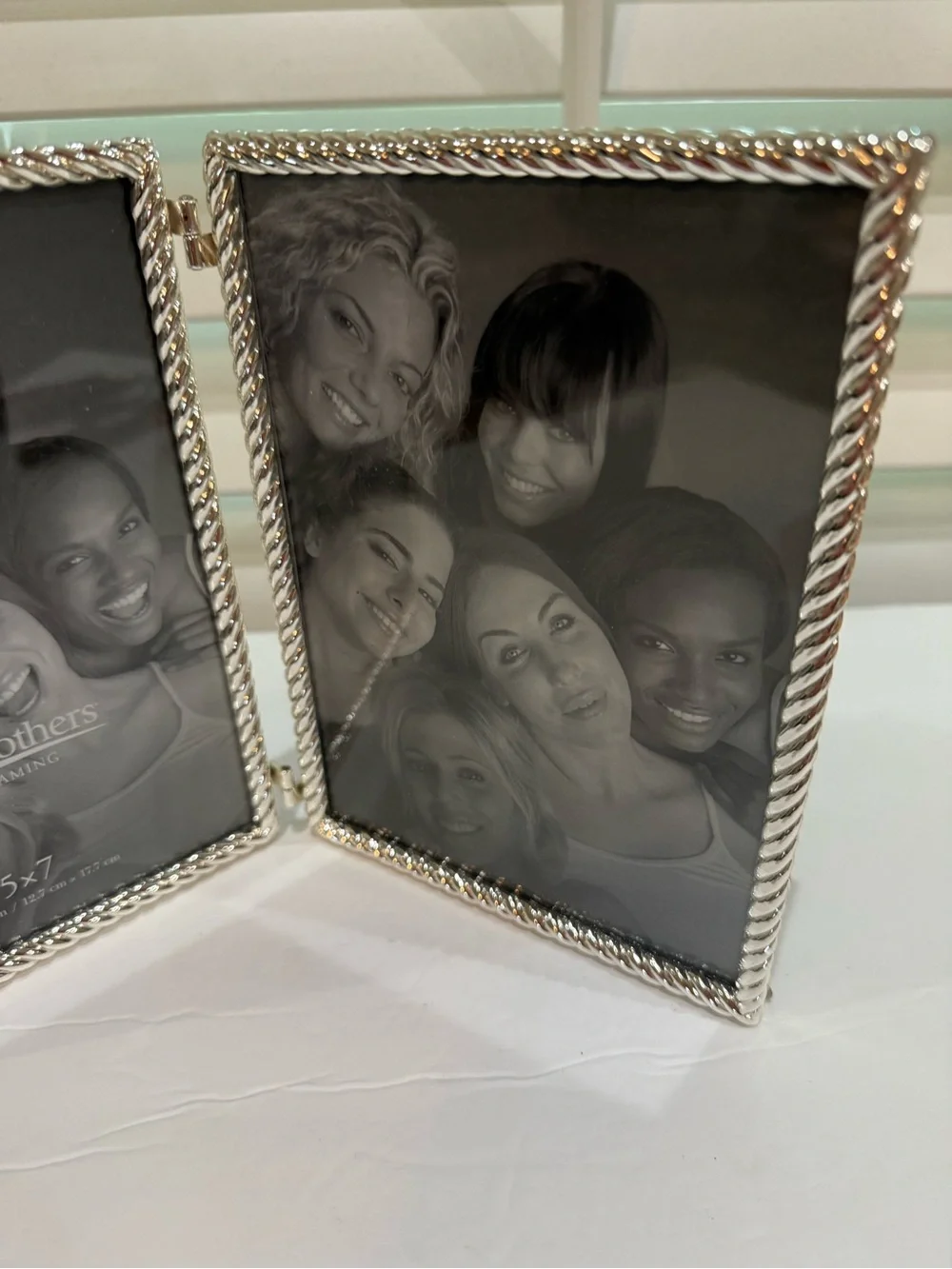 Aaron Brothers Silverplate Rope Border Double Picture Frame 5”x 7” Photos